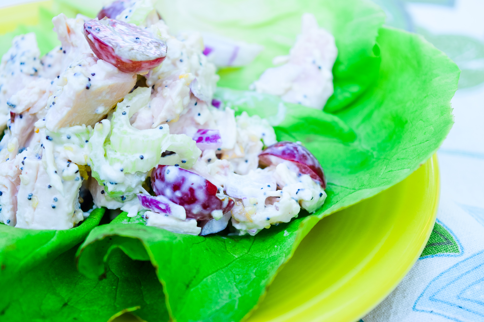 Everything Bagel Chicken Salad Liz Winters Wellness
